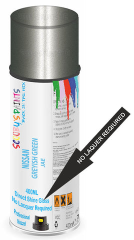 paint for NISSAN Z