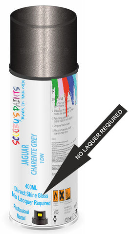 paint for JAGUAR 