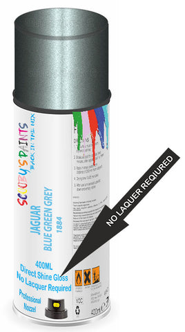 paint for JAGUAR 