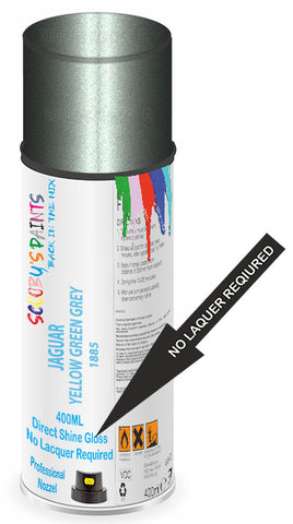paint for JAGUAR X200