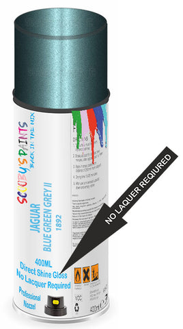 paint for JAGUAR 