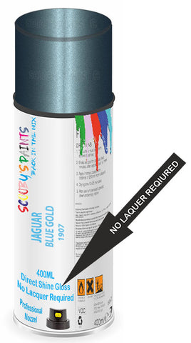 paint for JAGUAR 