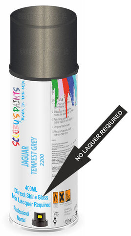 paint for JAGUAR XE