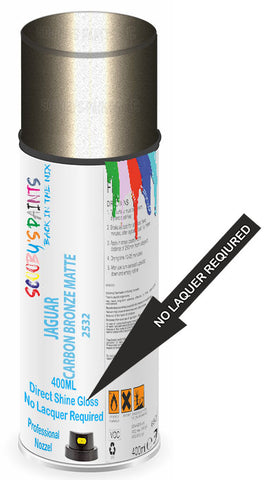 paint for JAGUAR 