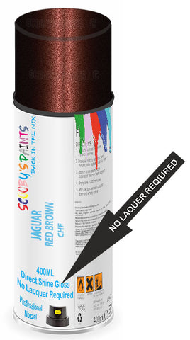 paint for JAGUAR XK