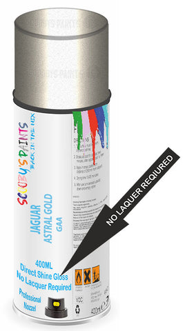 paint for Jaguar S-Type