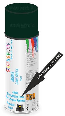 paint for JAGUAR X200