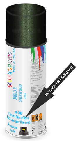 paint for Jaguar S-Type