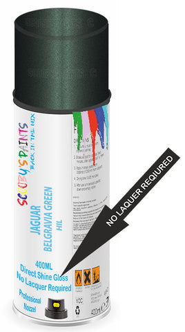 paint for JAGUAR 