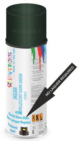 paint for Jaguar Mark Ix