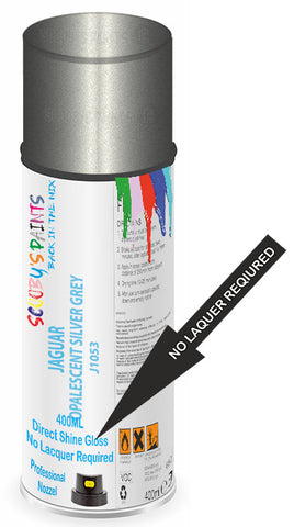 paint for Jaguar Mark Ix