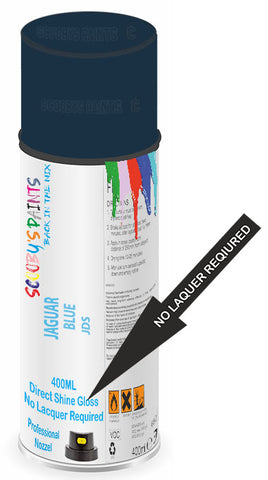 paint for JAGUAR 