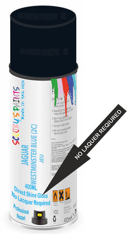 paint for JAGUAR X200