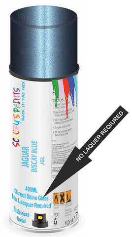 paint for JAGUAR 