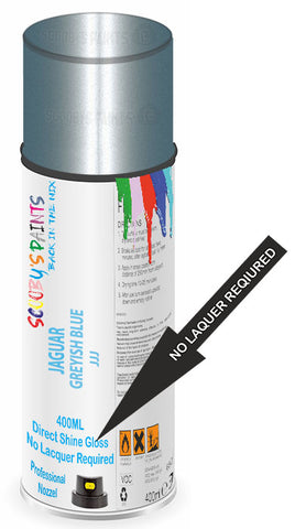 paint for JAGUAR X400