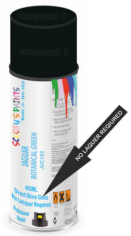 paint for Jaguar Xkr