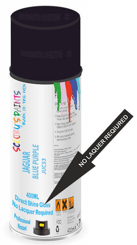 paint for JAGUAR X-TYPE