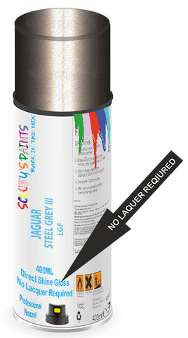 paint for Jaguar Sovereign