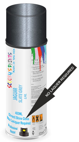 paint for Jaguar X400