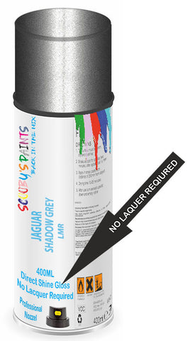 paint for Jaguar X-Type