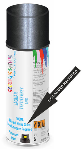 paint for Jaguar X-Type