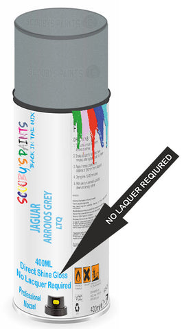 paint for JAGUAR 