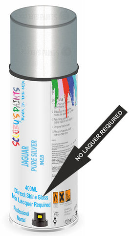 paint for JAGUAR X260