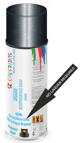 paint for Jaguar F-Type