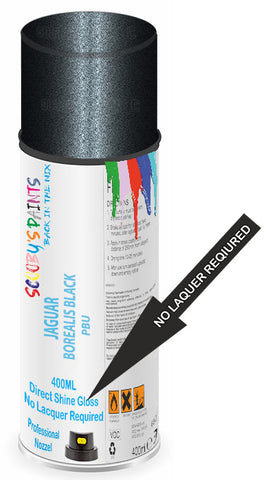 paint for JAGUAR 