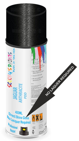 paint for Jaguar S-Type