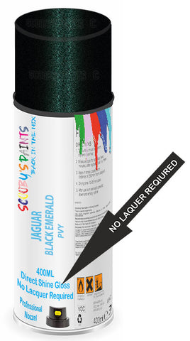 paint for Jaguar S-Type