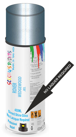 paint for Rover 800-Series