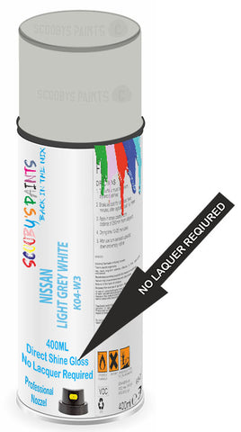 paint for NISSAN Z