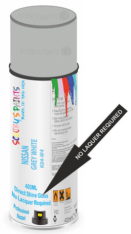 paint for NISSAN Z