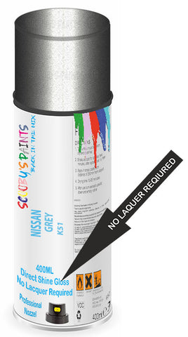 paint for NISSAN E-NV200