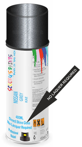 paint for Nissan Gt-R