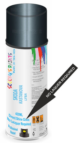 paint for Skoda Octavia