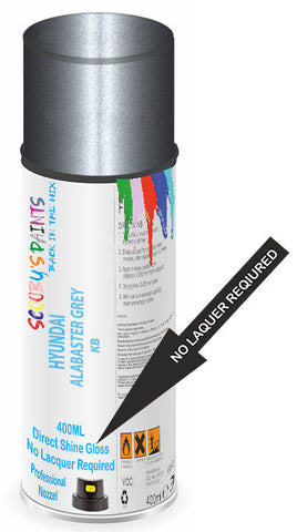 paint for Hyundai H1