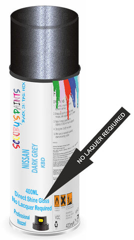 paint for Nissan Sunny