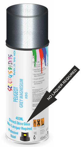 paint for Peugeot 508