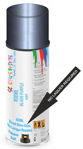 paint for ROEWE 