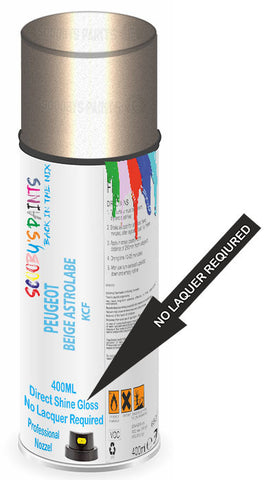 paint for Peugeot 807