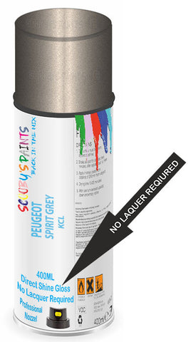paint for Peugeot 2008