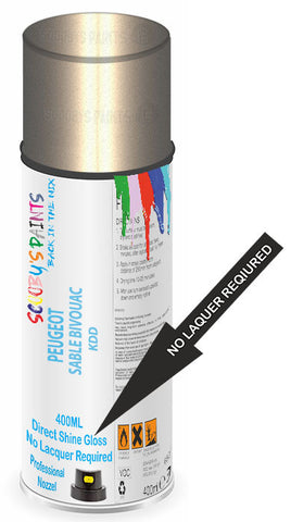 paint for Peugeot Grand Raid