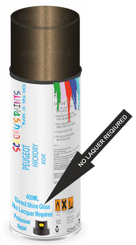 paint for Peugeot 1007