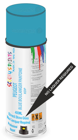 paint for Peugeot Partner