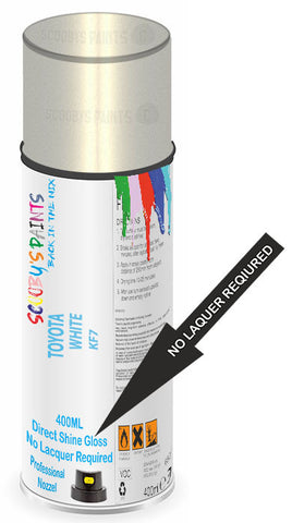 paint for TOYOTA SOLUNA