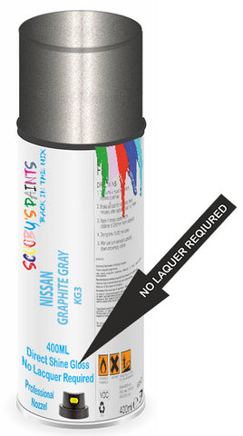 paint for NISSAN PRAIRIE