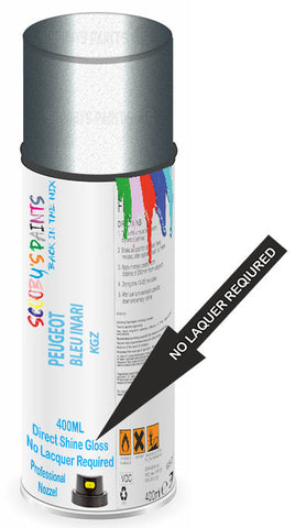 paint for Peugeot 1007