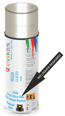 paint for Nissan 300Zx
